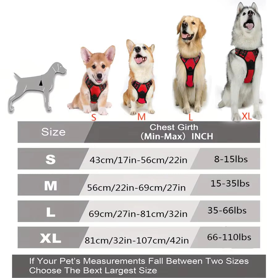Golden Snout dog harness reflective strips for night safety