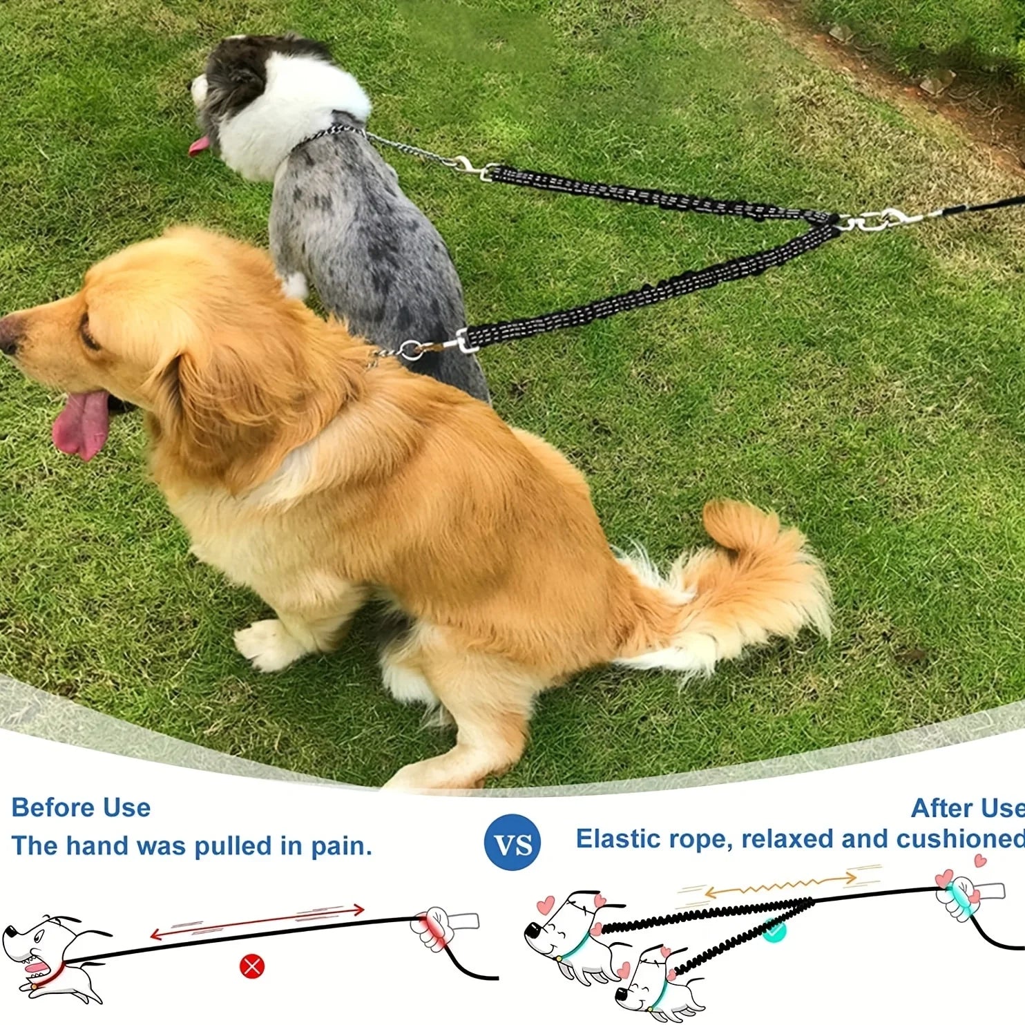 360 degree rotating swivel metal hardware on Golden Snout double dog leash