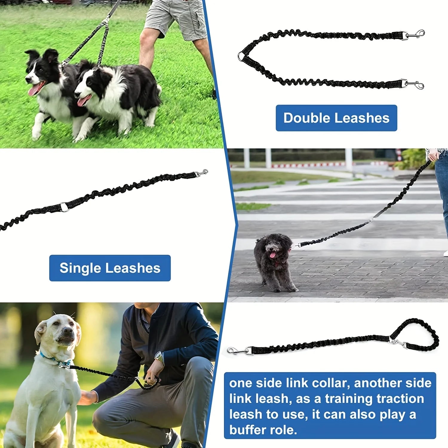 Golden Snout double dog leash coupler shock absorbing bungee detail