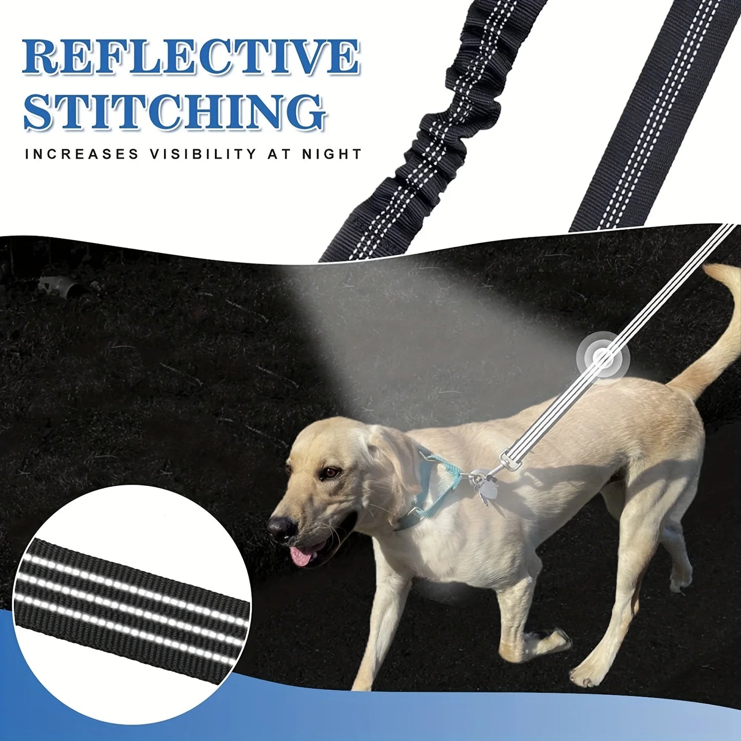 Golden Snout double leash reflective stitching glowing for night safety
