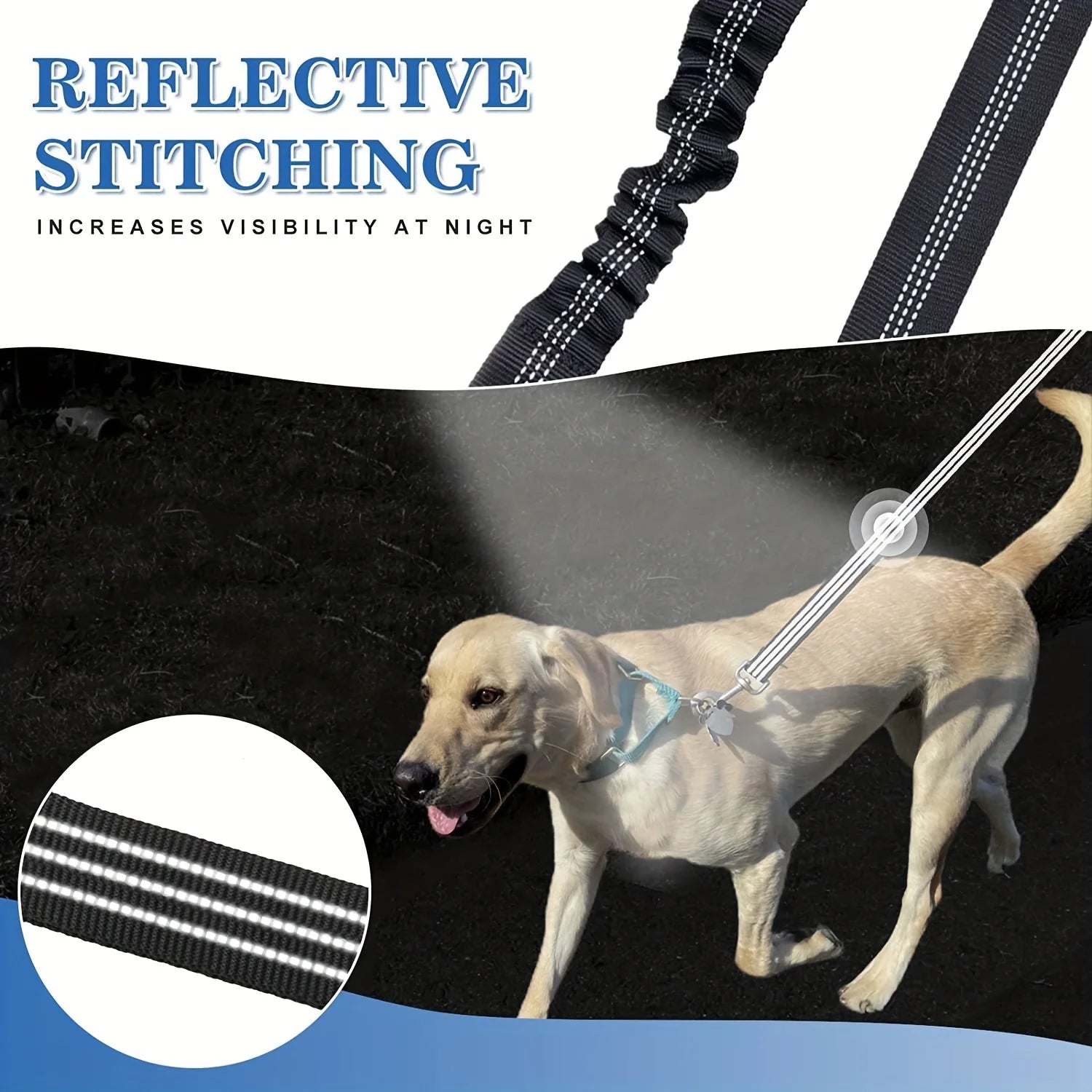 Golden Snout double leash reflective stitching glowing for night safety