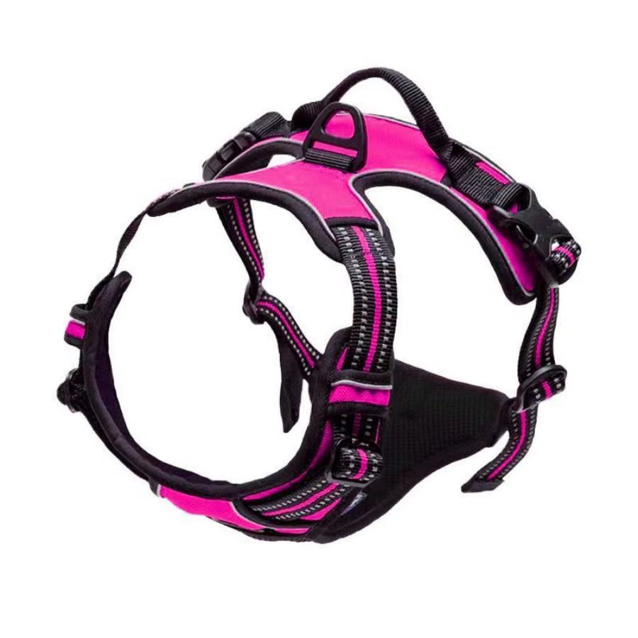 Golden Snout no-pull dog harness in blue — front and back clip